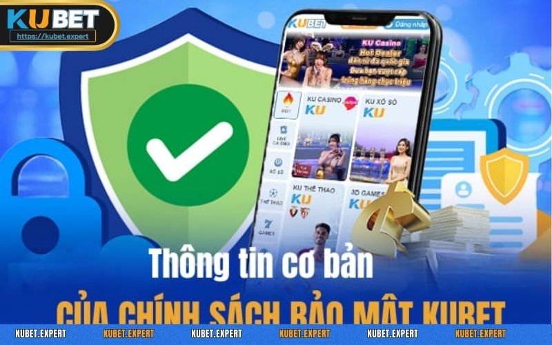 Thu thập và sử dụng dữ liệu người dùng